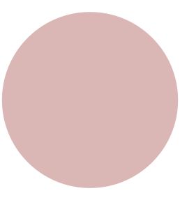 French Rose Active Emulsion Paint by Sanderson French Rose