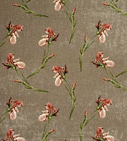Baker Iris Fabric by GP & J Baker Mole
