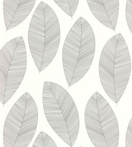Graphic Leaves Wallpaper by Caselio Blanc Noir
