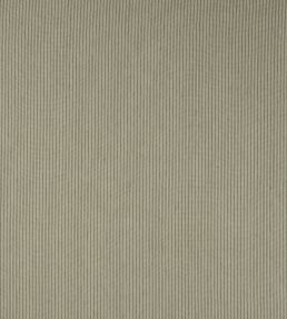 Hardy Stripe Fabric by Colefax and Fowler Forest