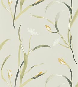 Saona Wallpaper by Harlequin Ochre/Linen