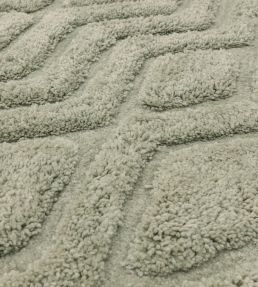 Asiatic Harrison rug Sage HARR120170SAGE Sage