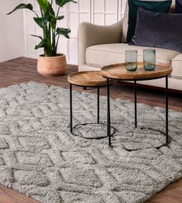 Asiatic Harrison rug Silver HARR120170SILV Silver