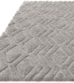 Asiatic Harrison rug Silver HARR120170SILV Silver