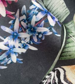 Hoopoe Garden Velvet Fabric by Avalana Charcoal