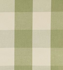 Avon Check Fabric by Ian Mankin Sage