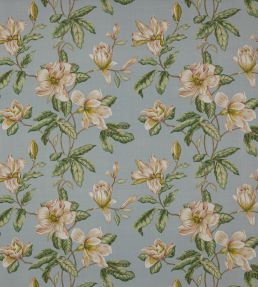 Imogen Fabric by Colefax and Fowler Sky Blue