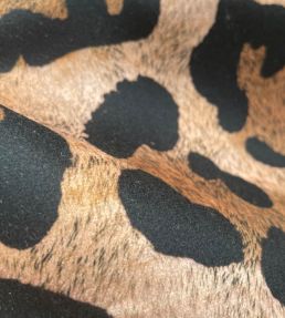 Jaguar Spot Velvet Fabric by Avalana Caramel