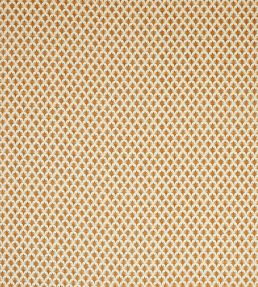Rydall Fabric by Jane Churchill Burnt Orange