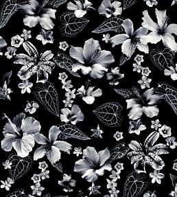 Cariacou Wallpaper by Jean Paul Gaultier Noir