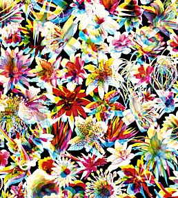 Grenada Wallpaper by Jean Paul Gaultier Multico