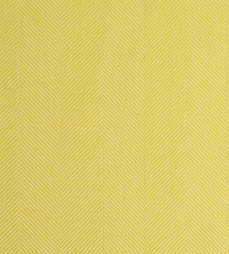 Aria One Fabric by Johnstons of Elgin Zest