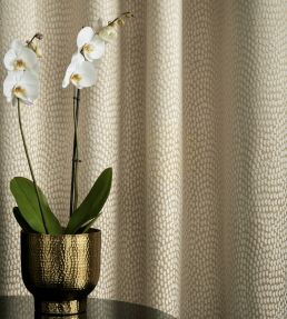 Sudetes Fabric by Kai Terracotta