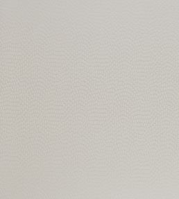 Sudetes Fabric by Kai Oyster