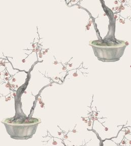 Kaki Persimmon Wallpaper by Cole & Son Silver
