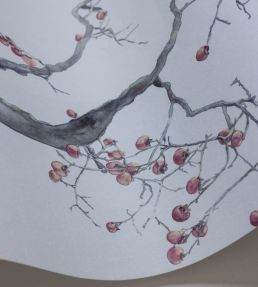 Kaki Persimmon Wallpaper by Cole & Son Silver