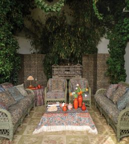 Kandira Fabric by Travers 535