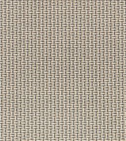 Kiku Fabric by Romo Tamarind