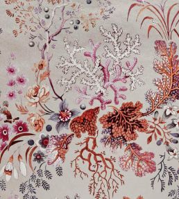 Kilburn's Coral Wallpaper by 1838 Wallcoverings Coral Reef
