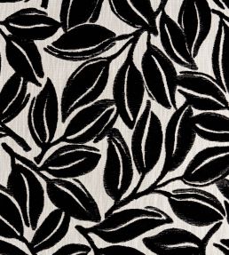 Kona Fabric by Thibaut Ebony