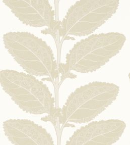 Lacinato Wallpaper by Thibaut Birch