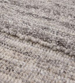 Asiatic Larson rug Charcoal LARS120170CHAR Charcoal