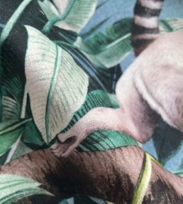 Leaping Lemur Velvet Fabric by Avalana Teal