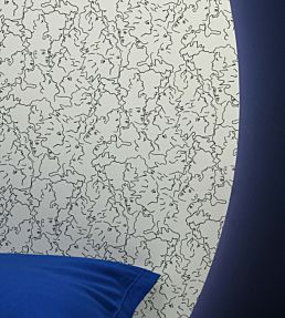 Ressemblance Wallpaper by Lelievre Ardoise