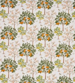 Lemon Grove Fabric by Prestigious Textiles Pear