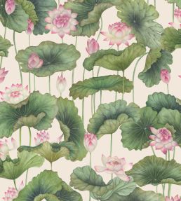Lily Lotus Wallpaper by Cole & Son Pink & White