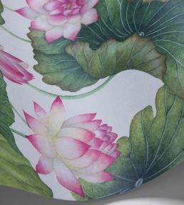 Lily Lotus Wallpaper by Cole & Son Pink & White
