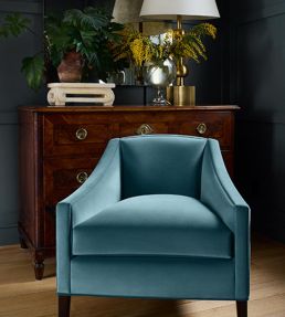 Lyra Velvet Fabric by Thibaut Dove