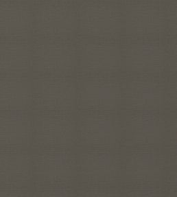 Lysander Fabric by Warwick Ash