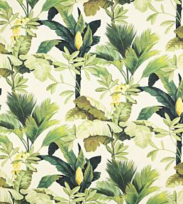 Salengro Fabric by Manuel Canovas Anis