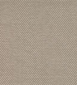 Shifu Wallpaper by Mark Alexander Parchment