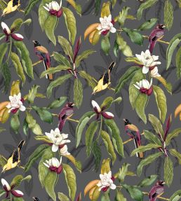 Michelia Wallpaper by Osborne & Little 1