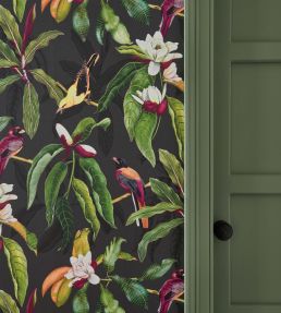 Michelia Wallpaper by Osborne & Little 4