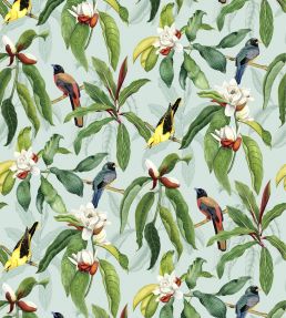 Michelia Wallpaper by Osborne & Little 4