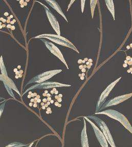 Mima Wallpaper by Romo Ebony