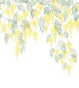 Mimosa Mural by Casadeco Bouton d'or
