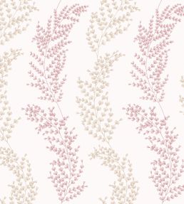 Mimosa Trail Wallpaper by Ohpopsi Blush