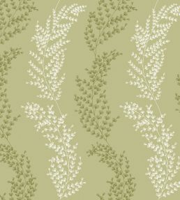 Mimosa Trail Wallpaper by Ohpopsi Sage Olive