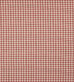 Minack Check Fabric by Colefax and Fowler Brick