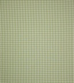Minack Check Fabric by Colefax and Fowler Leaf