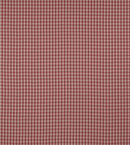 Minack Check Fabric by Colefax and Fowler Pink