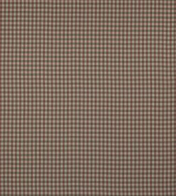 Minack Check Fabric by Colefax and Fowler Pink/Green