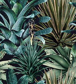 Lush Succulents Wallpaper by MINDTHEGAP Black,Green
