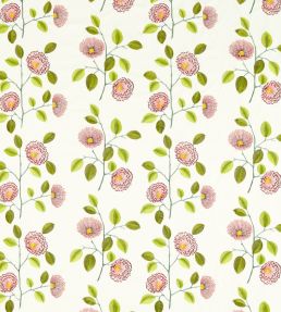 Monique Fabric by Clarke & Clarke Summer