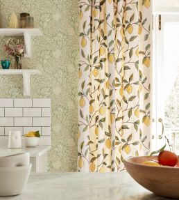 Lemon Tree by The Original Morris and Co.