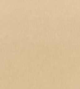 Motion Fabric by Kirkby Design Desert